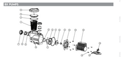 ASTRAL BX POOL PUMP SPARE PARTS