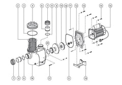 ASTRAL HURLCON TX SERIES POOL PUMP SPARE PARTS