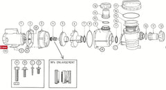 POOLRITE ENDURO POOL PUMP SPARE PARTS