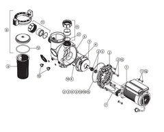 ZODIAC FLOPRO PUMP SPARE PARTS