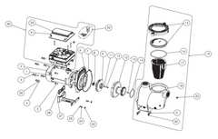 PENTAIR INTELLIFLO POOL PUMP SPARE PARTS - 2VSF, VS, VF, VS + SVRS