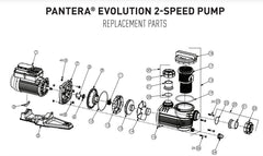 ONGA PANTERA EVOLUTION 2-SPEED POOL PUMP SPARE PARTS