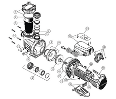 ASTRAL VIRON XT MKII P320C & P520C VARIABLE SPEED POOL PUMP SPARE PARTS (JULY 2021 ONWARDS)